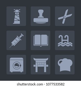 Premium set of fill icons. Such as pool, beacon, gardening, shrine, food, tool, wash, work, hat, pruning, scissors, chef, education, japanese, water, housework, certificate, light, torii, mark, cut