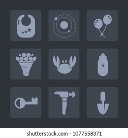 Premium set of fill icons. Such as childhood, seafood, key, planet, galaxy, construction, food, system, play, lifestyle, kid, space, air, work, pink, child, crab, shovel, balloon, celebration, bouquet