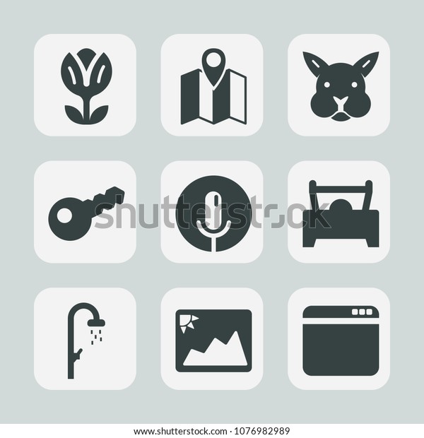 Premium set of fill icons. Such as map, bunny, sign,\
travel, rabbit, record, hygiene, graphic, picture, web, animal,\
navigation, floral, vehicle, gps, internet, car, photo, sound,\
browser, easter, pin