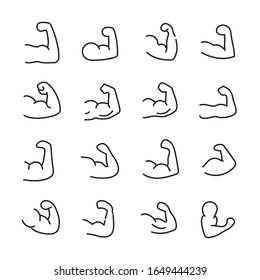 Premium set of muscle line icons. Web symbols for web sites and mobile app. Modern vector symbols, isolated on a white background. Simple thin line signs.