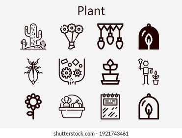 Premium set of plant [S] icons. Simple plant icon pack. Stroke vector illustration on a white background. Modern outline style icons collection of Bouquet, Plant, Flower, Notebook, Leaf insect