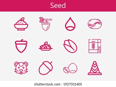 Premium set of seed line icons. Simple seed icon pack. Stroke vector illustration on a white background. Modern outline style icons collection of Pistachio, Nuts, Cone
