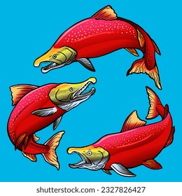 Premium Shockeye Salmon hand drawing 