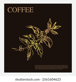 Premium sketch illustration of Robusta Arabica coffee in ink and gold on digital paper for poster design, packaging, labels, stickers, cafes, restaurants, menus, art prints, paper walls, fabric patter