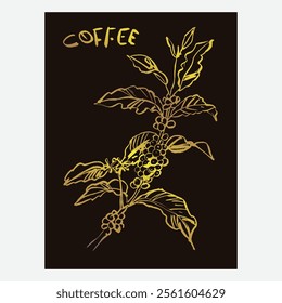 Premium sketch illustration of Robusta Arabica coffee in ink and gold on digital paper for poster design, packaging, labels, stickers, cafes, restaurants, menus, art prints, paper walls, fabric patter