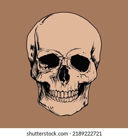 Premium Skull Head Vector Illustration