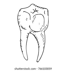 Premium tooth. Doodle style. Design, print, decor, textile, paper