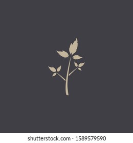 Premium tree logo design. Abstract tree icon vector illustration