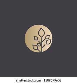 Premium tree logo design. Abstract tree icon vector illustration
