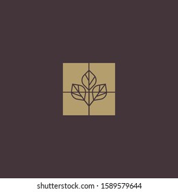 Premium tree logo design. Abstract tree icon vector illustration