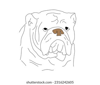 Premium Vector | Black and white bulldog vector illustration, angry face bull dog vectorBlack and White Bulldog vector illustration, Angry face bull dog vectorDog bulldog. outlines Illustration, Art