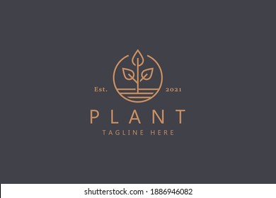 Premium Vector Plant Logo.  Nature Sign Brand Identity Agriculture. Simple Badge Line Style. 