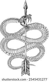 Vetor premium I cobra osso contorno desenho seta crânio desenho víbora