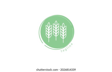Premium vector wheat logo design