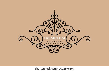 Premium Victorian monogram templates to create logos, emblems, personal monograms in a sophisticated vintage brand identity.