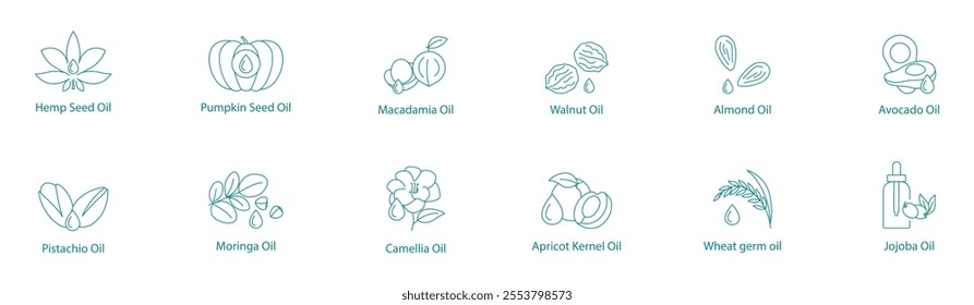 Premium Wellness Oils Vector Icon Set: Hemp, Pumpkin, Macadamia, Walnut, Almond, Avocado, Pistachio, Moringa, Camellia, Apricot Kernel, Wheat Germ, Jojoba