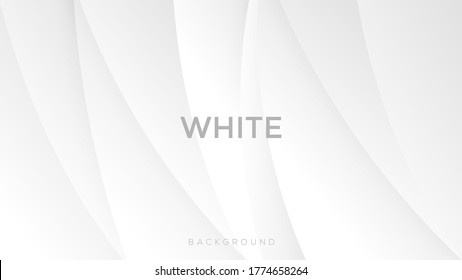 Premium white color background with dynamic shadow on background. vector background. Eps10