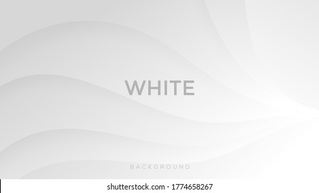 Premium white color background with dynamic shadow on background. vector background. Eps10