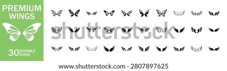 Premium Wings Icon Set, Angel, Bird and Butterfly Wing Editable Vector Collection