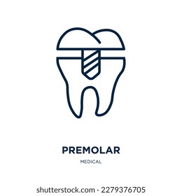 premolar icon from medical collection. Thin linear premolar, medical, dental outline icon isolated on white background. Line vector premolar sign, symbol for web and mobile