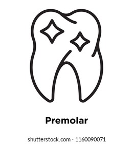 Premolar icon vector isolated on white background, Premolar transparent sign , line and outline elements in linear style