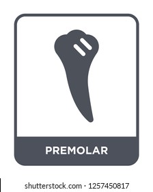 premolar icon vector on white background, premolar trendy filled icons from Medical collection, premolar simple element illustration