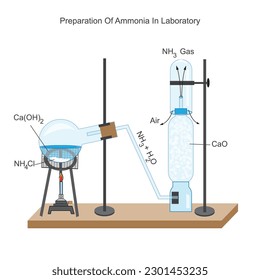 Preparation of ammonia in laboratory. ammonium chloride  and calcium hydroxide react  to give ammonia . Chemical illustration. education and science use.