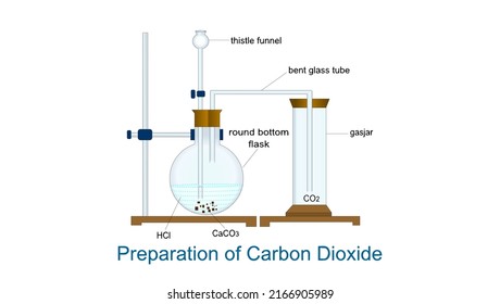 Preparation of Carbon Dioxide - vector illustration