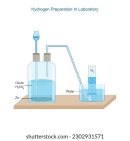 Preparation of Hydrogen Gas in Laboratory with the help of Zinc and Sulphuric acid. vector illustration of hydrogen gas.