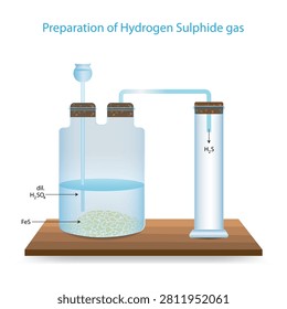 Preparation of Hydrogen Sulphide Gas Laboratory Apparatus with Ferrous Sulfide and Dilute Sulfuric Acid Chemical Reaction Educational Vector Illustration.