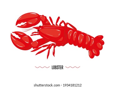 Prepared red lobster profile isolated on white backgroun. Seafood, marine delicious. Vector illustration, cartoon, simbol, icon, logo, stiker for poster, flayer, packaging