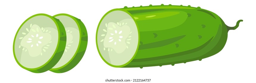 Preparing salad or cooking food, isolated fresh cucumber pieces, isolated vegan and vegetarian menu with healthy ingredients and balanced dieting portions. Delicious and tasty product, vector