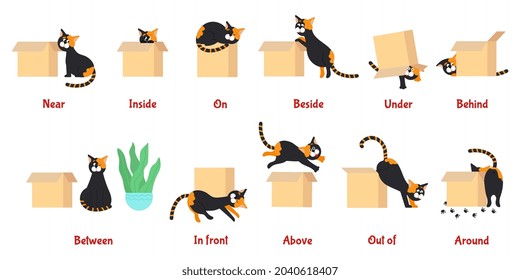 Preposition. Learning english prepositions with cute cat. Preschool educational poster with cartoon pet, language grammar study decent vector banner