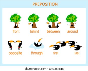 Preposition of motion for preschool, worksheet stock vector illustration, for education, for english lessons, for web, for print. Toucan and tree flat design, part 2