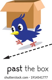 Preposition of movement Bird runing past the box