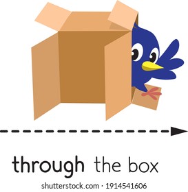 Preposition of movement. Bird walk through the box