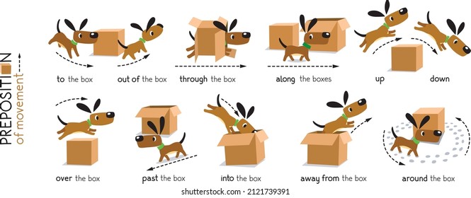 Preposition of movement. Dog and the boxes