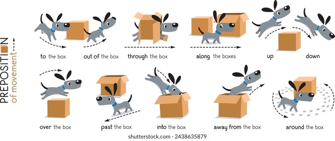 Preposition of movement. Dog and the boxes