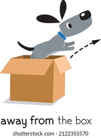 Preposition of movement. Dog fly away from box