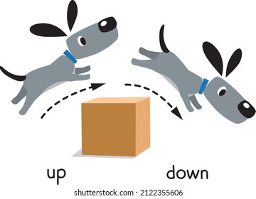 Preposition of movement. Dog jumps up and down