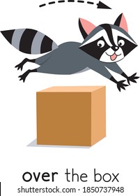 Preposition of movement. Raccoon jumps over the box