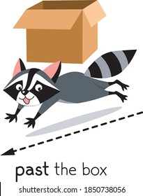 Preposition of movement. Raccoon runing past the box