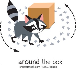 Preposition of movement. Raccoon walks around the box