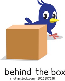 Preposition of place. Bird behind the box