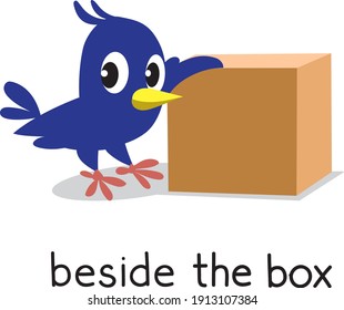 Preposition of place. Bird beside the box