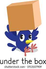 Preposition of place. Bird under the box