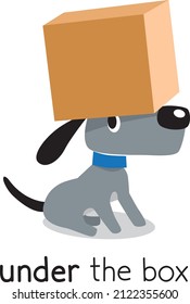 Preposition of place. Dog under the box