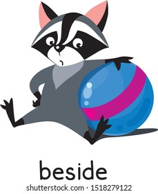 Preposition of place. Raccoon beside the ball
