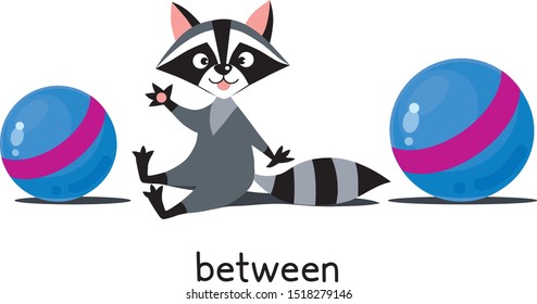 Preposición del lugar. Raccoon entre dos bolas