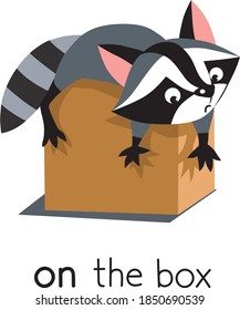 Preposition of place. Raccoon on the box